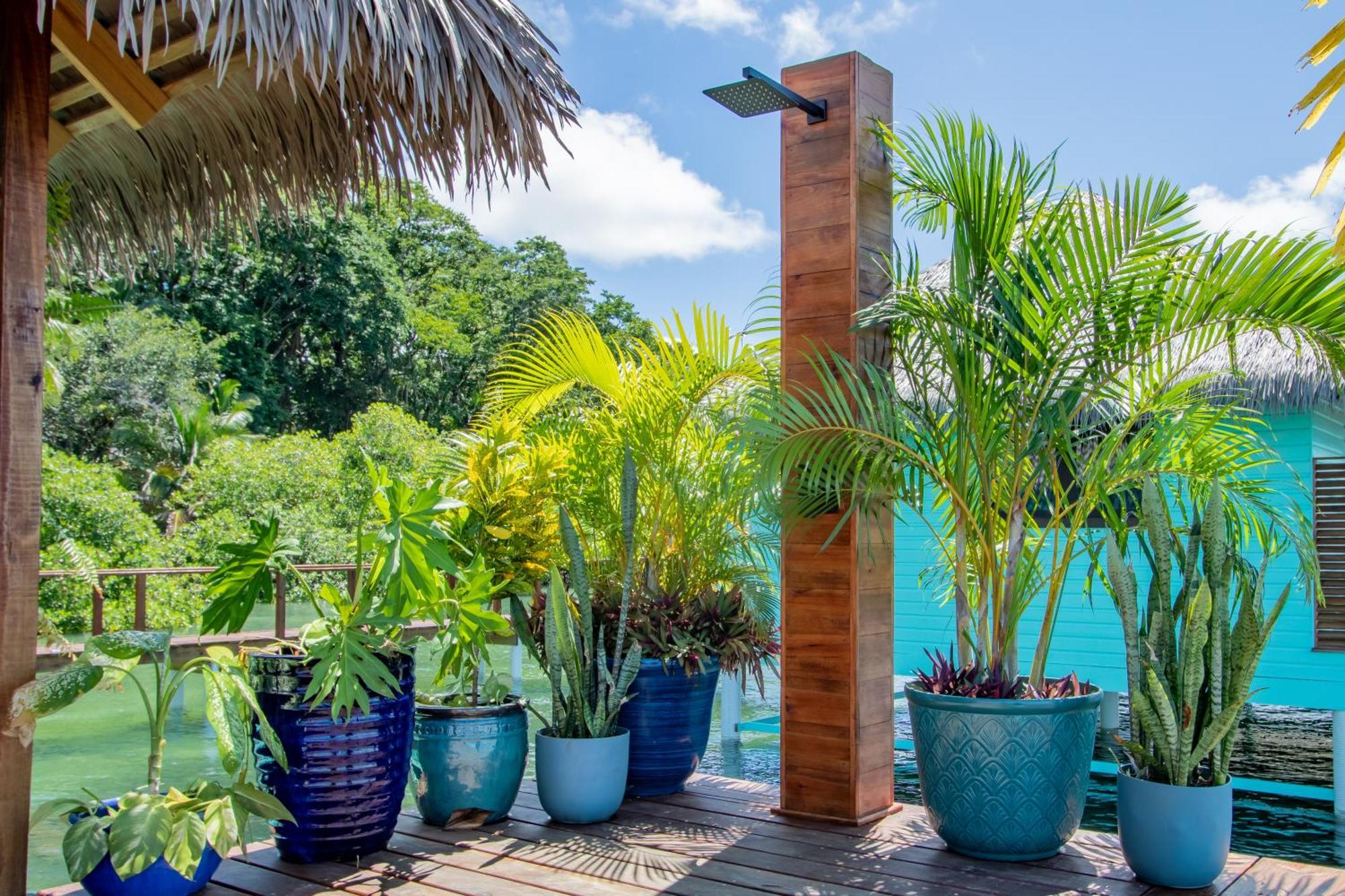Sol Bungalows Bocas Town Bagian luar foto